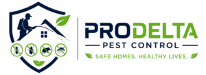 Best pest control service in lucknow