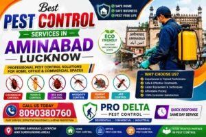 best Pest Control Services in Aminabad Lucknow
