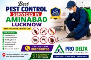 best Pest Control Services in Aminabad Lucknow
