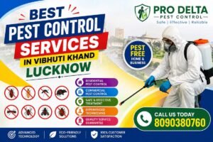 Best Pest Control Services in Vibhuti Khand Lucknow