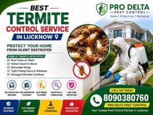 Termite control in Lucknow