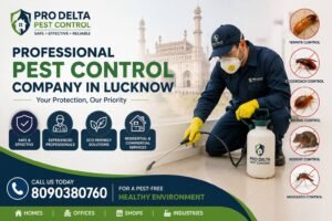 Why Pest Problems Increase During Monsoon in Lucknow
