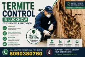 termite control in Lucknow