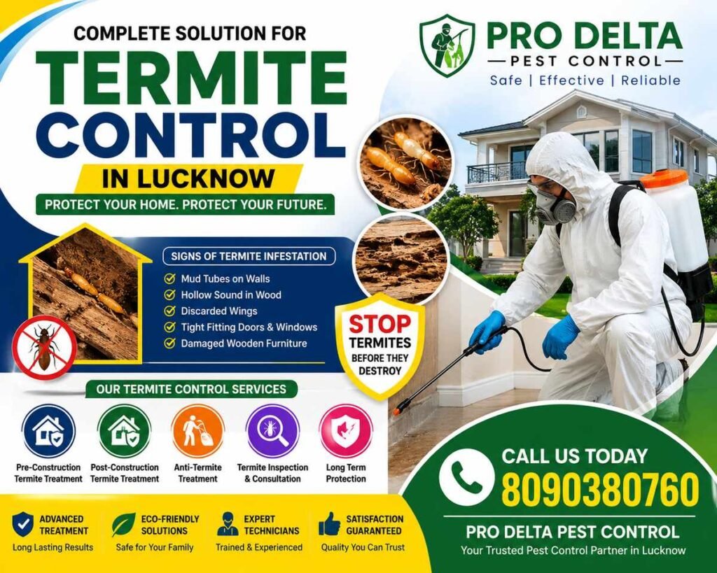 How to Protect Your Home From Termites: Complete Guide