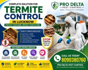How to Protect Your Home From Termites: Complete Guide