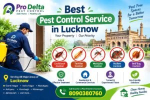 Pest Control Cost in Lucknow 