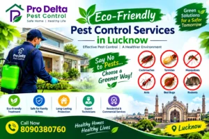Eco-Friendly Pest Control Services in Lucknow
