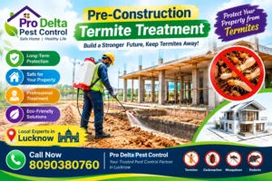 Pre-Construction Termite Treatment in Lucknow