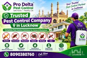 Trusted Pest Control Company in Lucknow