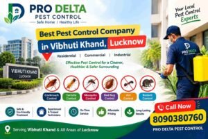 Best Pest Control company in Vibhuti Khand lucknow 