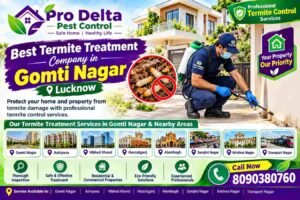 Best Termite Treatment Company in Gomti Nagar 