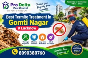Best Termite treatment in Gomti Nagar Lucknow