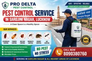 Top Pest Control Service in Sarojini Nagar Lucknow
