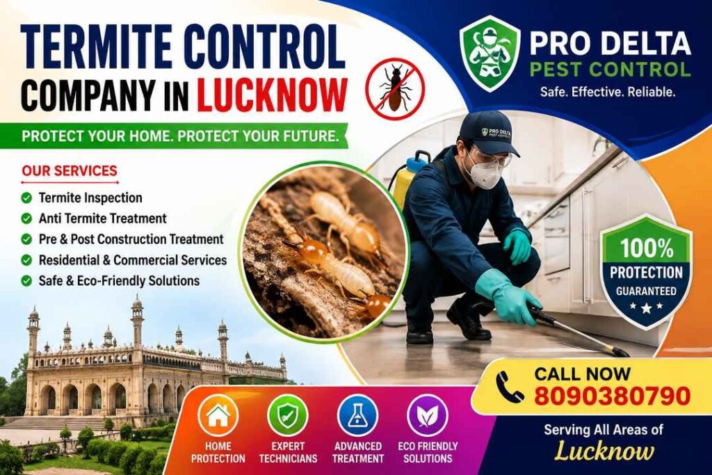 Termite Control company in Lucknow