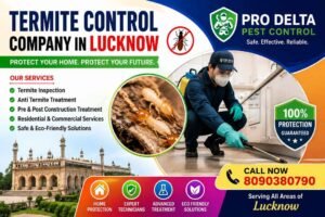 Termite Control company in Lucknow