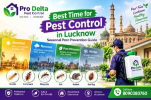 Best time for pest control in lucknow
